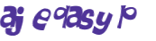 Captcha 챌린지