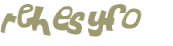CAPTCHA 挑戰