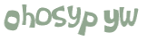 Wyzwanie captcha