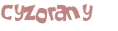 Wyzwanie captcha