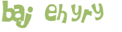 CAPTCHA 挑戰