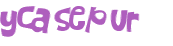 Captcha 챌린지