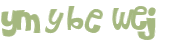 Desafio captcha