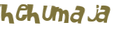 CAPTCHA 挑戰