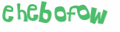 CAPTCHA 挑戰