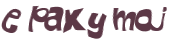 Captcha 챌린지
