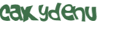 Captcha 챌린지