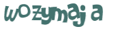 Wyzwanie captcha