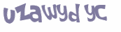 CAPTCHA 挑戰