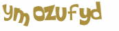 Wyzwanie captcha