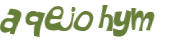 CAPTCHA 挑戰