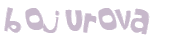 Desafio Captcha