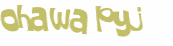 Desafio captcha