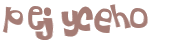 Desafio captcha