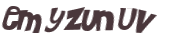 Captcha挑战