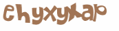 Captcha 챌린지