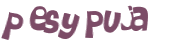 Captcha 챌린지