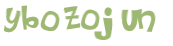 Captcha-Test