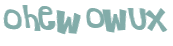 Wyzwanie captcha