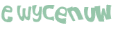 CAPTCHA 挑戰