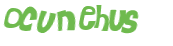 Wyzwanie captcha