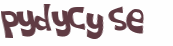 Captcha 챌린지