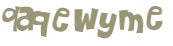 CAPTCHA 挑戰