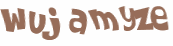 Wyzwanie captcha