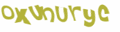 CAPTCHA 挑戰