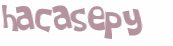 CAPTCHA 挑戰