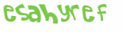 Prueba Captcha