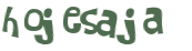 Captcha-Test