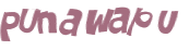 Desafio captcha