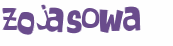 Desafio captcha