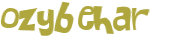 CAPTCHA 挑戰
