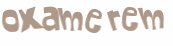 CAPTCHA 挑戰