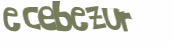 Captcha 챌린지