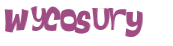 Wyzwanie captcha