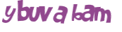 CAPTCHA 挑戰