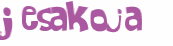 Wyzwanie captcha