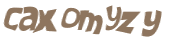 Captcha 챌린지