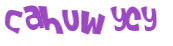 Captcha-Test