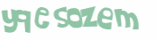 Desafio captcha