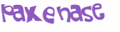 CAPTCHA 挑戰