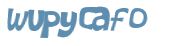 CAPTCHA 挑戰