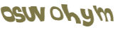 Captcha 챌린지