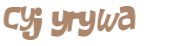 CAPTCHA 挑戰