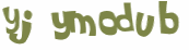 Captchafråga