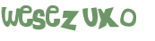 Wyzwanie captcha
