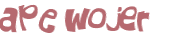 CAPTCHA 挑戰